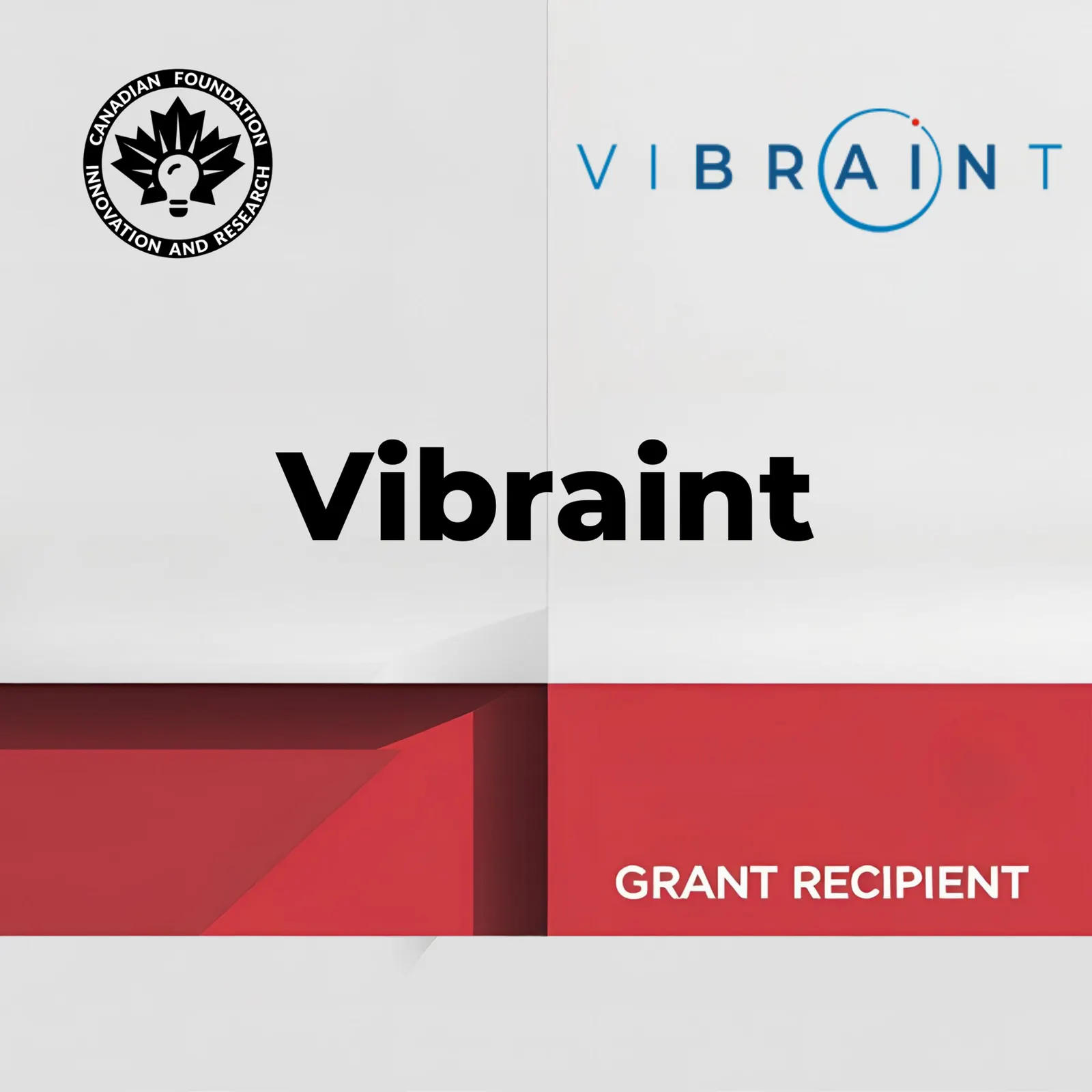 Founder Feature: Ilia Borishchev & Vibraint